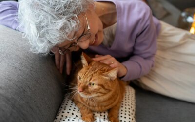 Cancer du sein : Les recherches sur les chats ouvrent des pistes