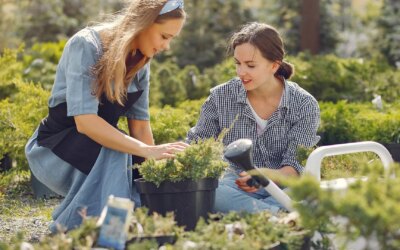 Mains dans la terre : découvrez la nouvelle tendance bien-être